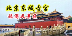 起码高清大鸡吧日逼中国北京-东城古宫旅游风景区